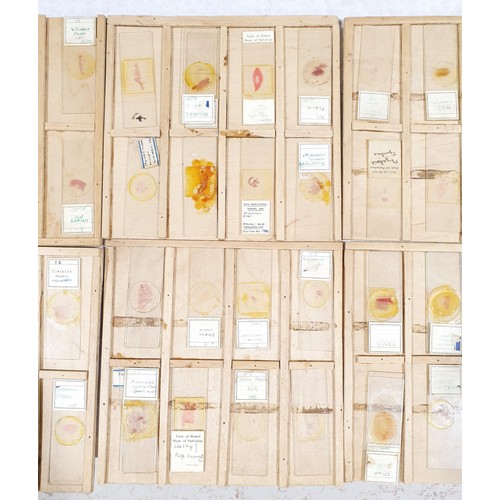 71 - A selection of vintage prepared microscope slides of human tissue. No shipping. Arrange collection o... 