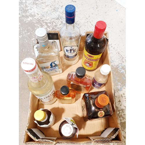 31 - Ten bottles of assorted spirits including Raki, Tequila, Brandy, Cointreau and mixers, all opened. N... 