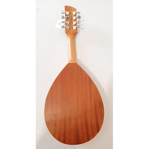 141 - A Brunswick flat back mandolin, model MDL25.  No shipping. Arrange collection or your own packer and... 