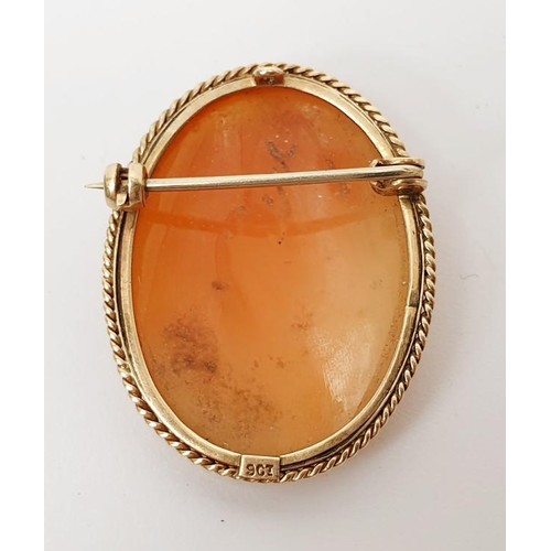 3 - A cameo brooch in a 9ct gold mount, length 3cm together with a pair of 9ct gold and faux pearl earri... 