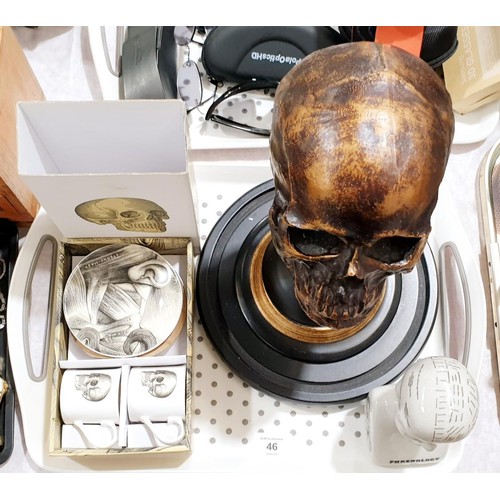 46 - A resin skull on a plinth, height 32cm, a Curios Espresso cup and saucer set and a phrenology head. ... 