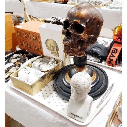 46 - A resin skull on a plinth, height 32cm, a Curios Espresso cup and saucer set and a phrenology head. ... 