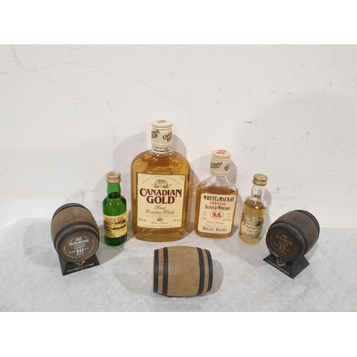 14 - 35cl Canadian Gold Whisky, 10cl Whyte & Mackay Special Scotch Whisky and 4 5cl whisky miniatures inc... 