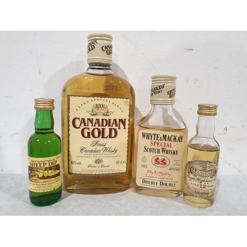 14 - 35cl Canadian Gold Whisky, 10cl Whyte & Mackay Special Scotch Whisky and 4 5cl whisky miniatures inc... 