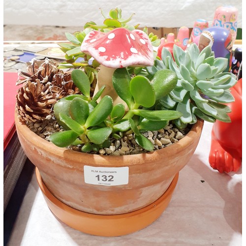 132 - Cactus plants in a terracotta plant pot. No shipping. Arrange your own packer and shipper please. El... 