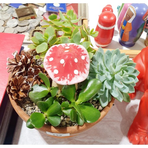 132 - Cactus plants in a terracotta plant pot. No shipping. Arrange your own packer and shipper please. El... 