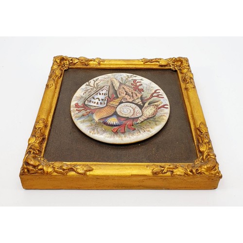 88 - Framed Prattware lid with a print of seashells. 17x17cm. No shipping. Arrange collection or your own... 