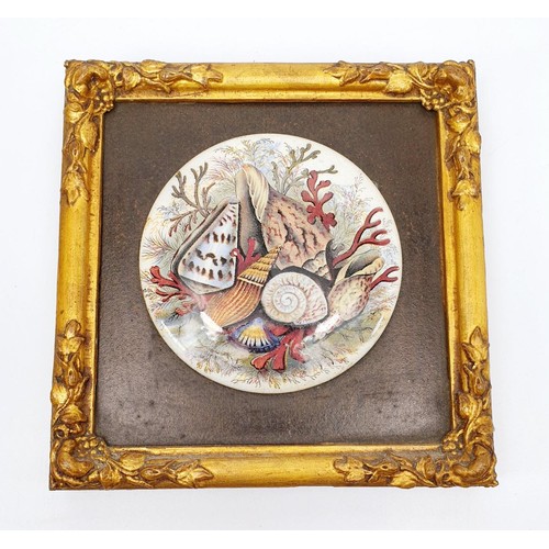 88 - Framed Prattware lid with a print of seashells. 17x17cm. No shipping. Arrange collection or your own... 