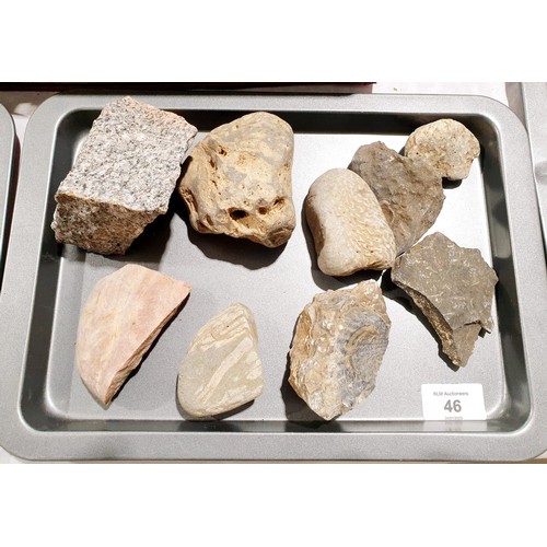 46 - A selection of rocks containing fossils, the largest height 7.5cm. UK shipping £14.