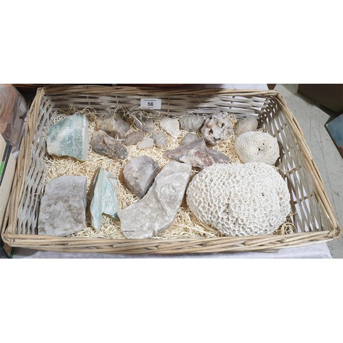 56 - A selection of fossils and minerals. UK shipping £14.