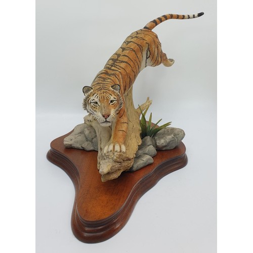 240 - A Border Fine Arts limited edition sculpture of a tiger L117 with box length 42.5cm. No shipping. Ar... 