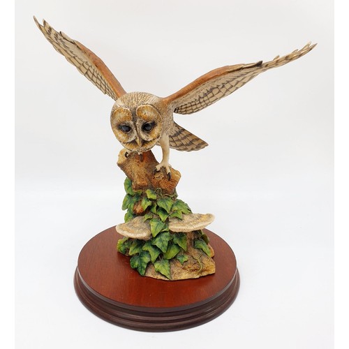 241 - A Border Fine Arts model of a tawny owl, height 27cm. No shipping. Arrange collection or your own pa... 