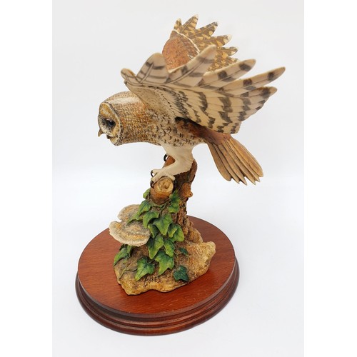 241 - A Border Fine Arts model of a tawny owl, height 27cm. No shipping. Arrange collection or your own pa... 