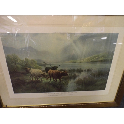 301 - Two Edwardian era framed & mounted prints of Highland cattle