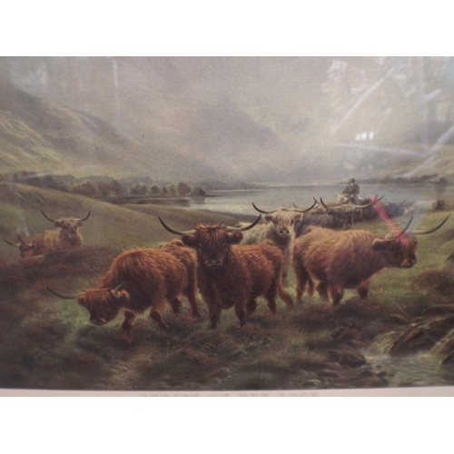 301 - Two Edwardian era framed & mounted prints of Highland cattle