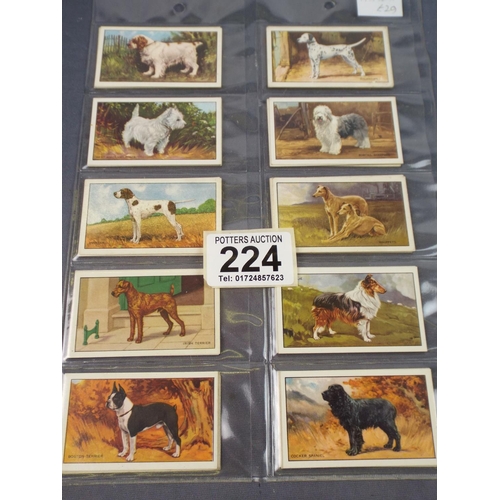 Lot 224       