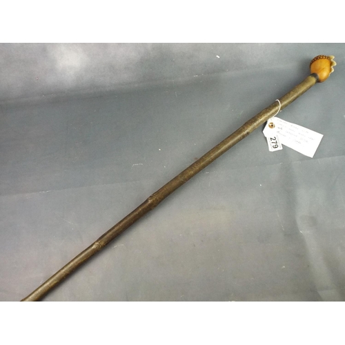 279 - Long walking cane with carved Acorn & leaf to handle  53 inches long