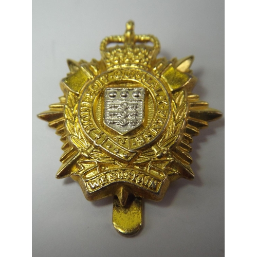 6 - Royal Logistics corp, 10th Anniversary Cap Badge etc