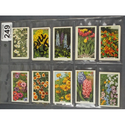 249 - Gallagher cig cards, full set of 'Garden Flowers' 1950