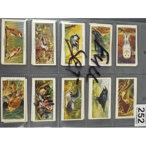 252 - WD & HO Wills Cig Cards, Full set of 'Wild Birds' 1932