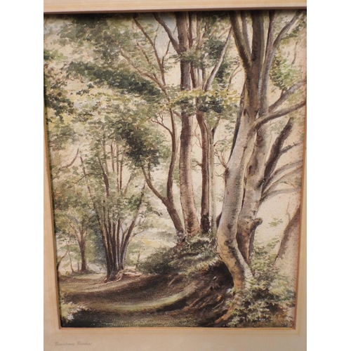 38 - W Day.    'Burnham Beeches' Original Watercolour C1920's