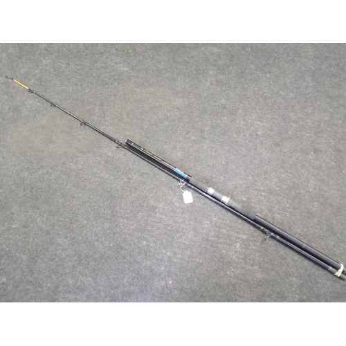 206 - DAM 9.5ft two piece fishing rod.