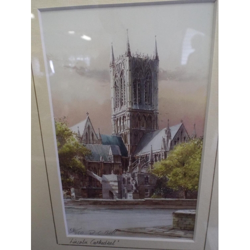 226 - Ltd Edition print of Lincoln Cathedral 54/250