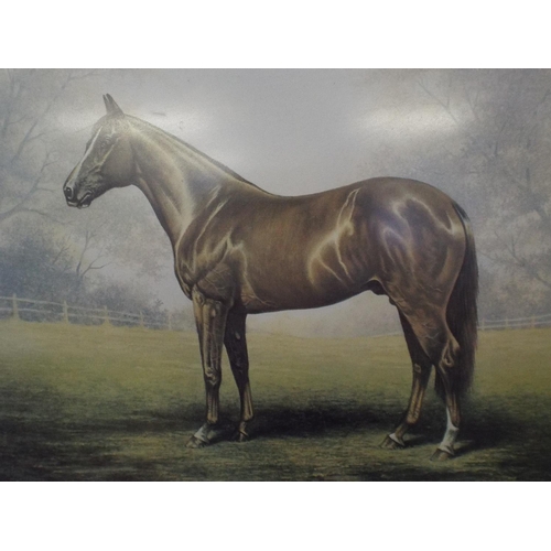 273 - Ltd Edition framed print of the racehorse 'Grundy'