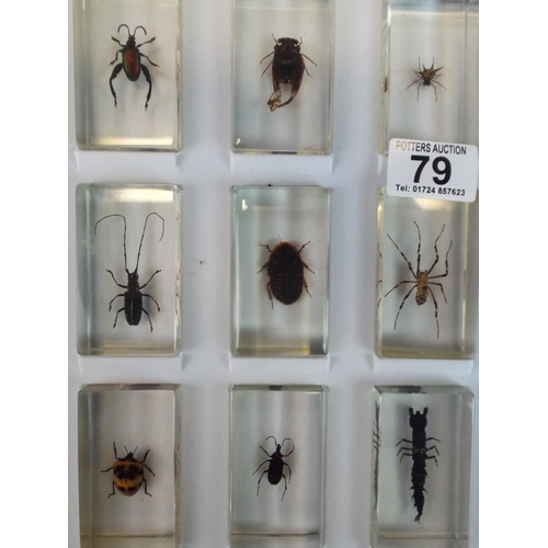 79 - Selection of Insect specimens encased in perspex and with perspex fronted carry case.