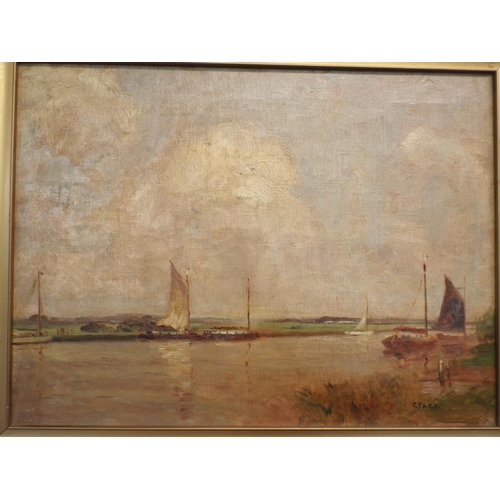 206 - Three Edwardian era oil paintings of Norfolk Broadlands by C Page.