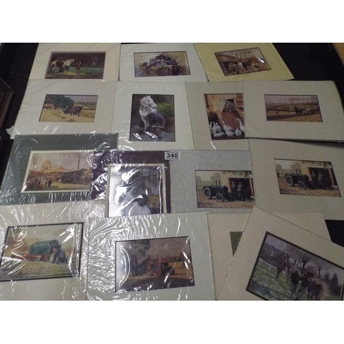 340 - Approx 50 mounted prints in cellophane, dogs, horses, etc