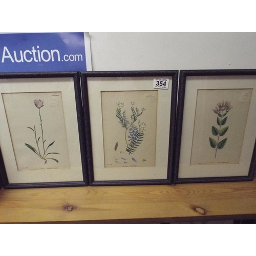 354 - Set of Six, Edwardian era framed floral prints.