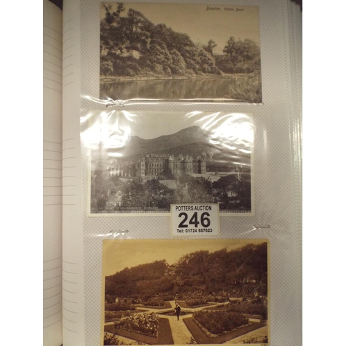 246 - Large and full  album (appros 300)  topographical vintage postcards