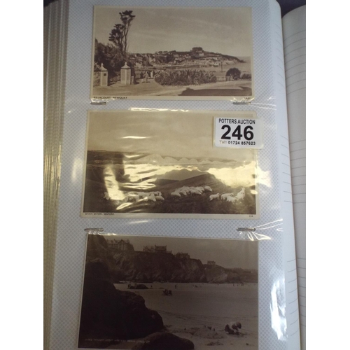 246 - Large and full  album (appros 300)  topographical vintage postcards