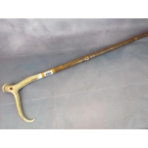 480 - Natural antler horn walking stick with brass ferrule