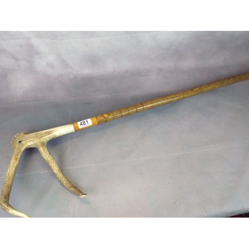 481 - Natural Antler horn walking stick with brass ferrule