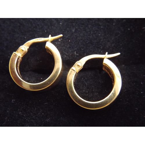 64 - Pair of 9ct gold earrings, 1.4g