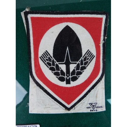 102 - RAD Sports emblem (Hitler youth athletics association) framed and mounted under glass.