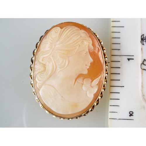 135 - Cameo Brooch set with heavy 9ct Yellow Gold Surround.   37 x 30 mm   5.2g