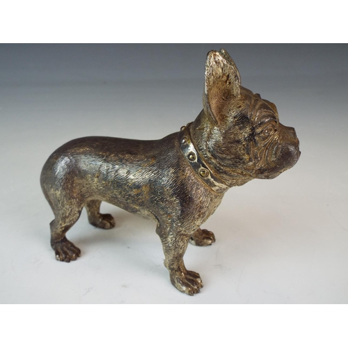 179 - Early 20th Century Cold painted Austrian Bronze figure of a bull terrier in the manner of Franz Berg... 