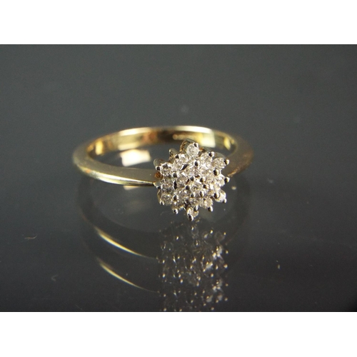 210 - 9ct Yellow gold Multi Cubic Zircona set ring in a flower cluster. Finger size 'S5-T'  3.6g