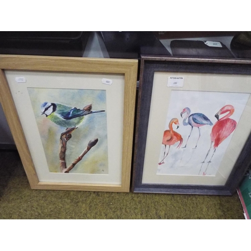 600 - Pair of framed and mounted Bird pictures