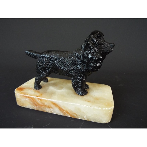 29 - Cold painted bronze model of a water spaniel set on a contrasting white marble base. Approx 5 inches... 