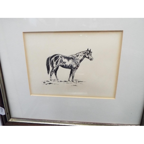 156 - Pair of ink drawings of ponies. Framed and mounted under glass