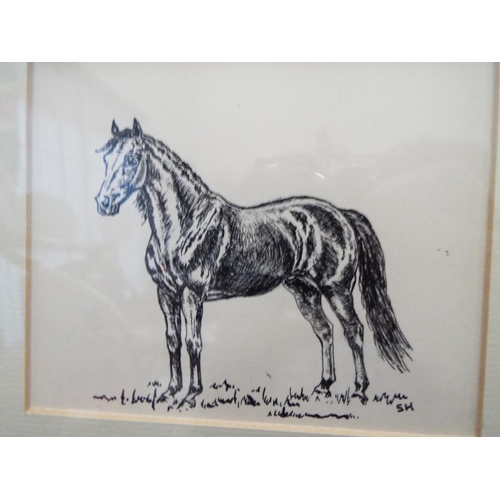 156 - Pair of ink drawings of ponies. Framed and mounted under glass