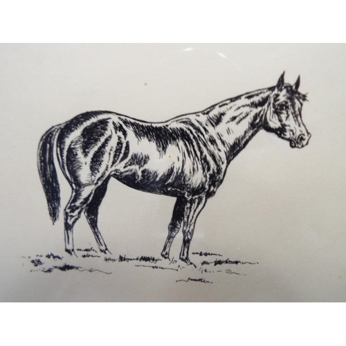 156 - Pair of ink drawings of ponies. Framed and mounted under glass