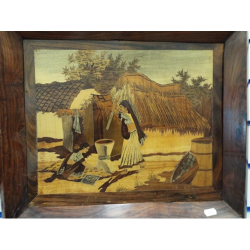 162 - Two beautifully made wooden pictures with wooden frames. Indian made.  Each measure approx 20 x 17 i... 