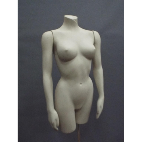 220 - Lifesize female shop torso on adjustable stainless steel support.