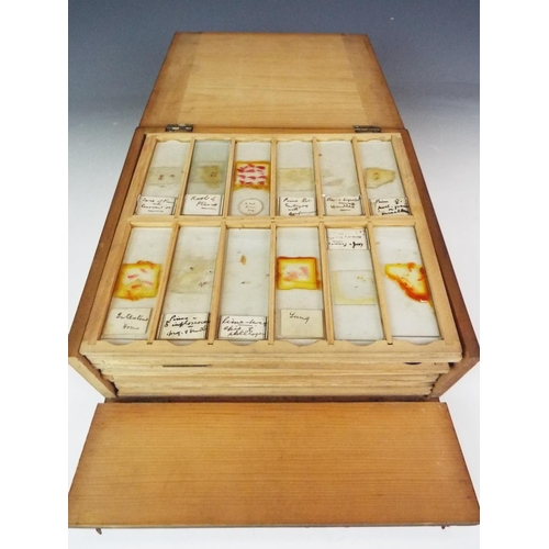 342 - Twelve trays of vintage microscope slides all contained in a purpose built box.