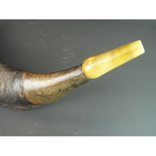 130 - Rams horn with carved bone mouthpiece. 16 inches long.